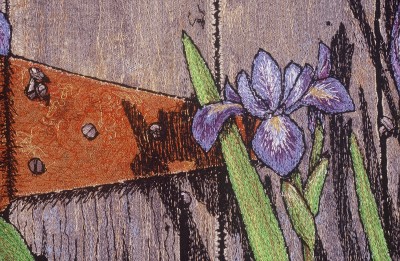 blue iris detail
