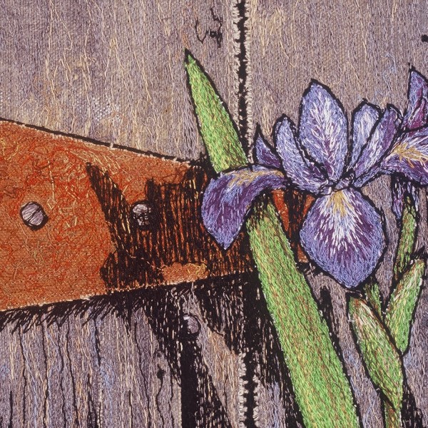 blue iris detail